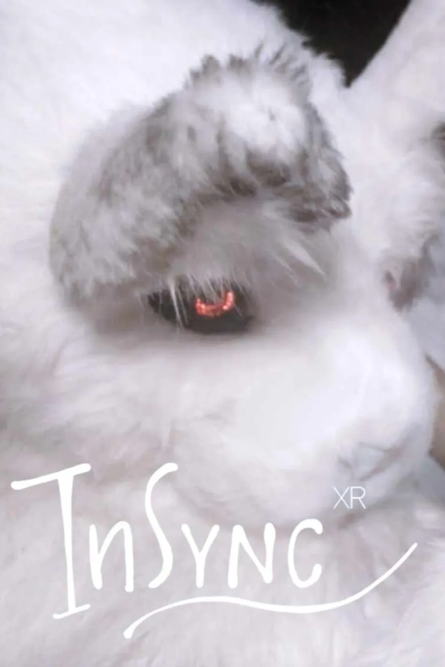 InSync Cover Art