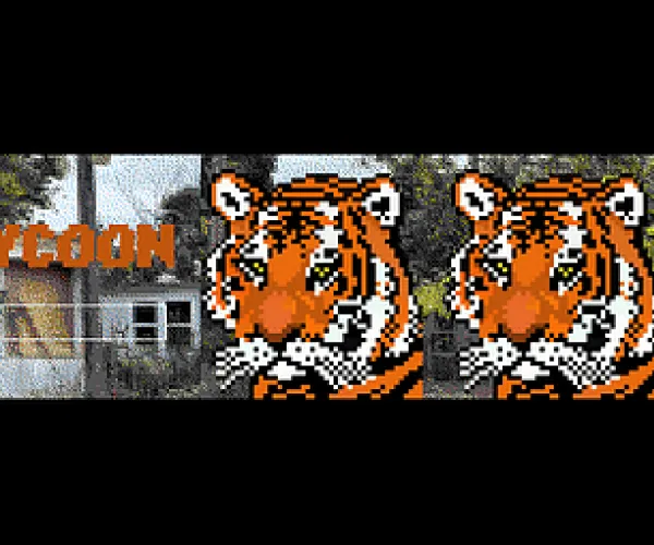 Tiger Tycoon Cover Art