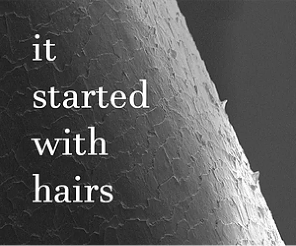 It Started With Hairs (2022) - Windows,macOS,Linux,Android It Started With Hairs Cover Art